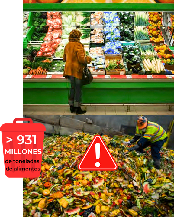 > 931 MILLONES de toneladas de alimentos